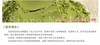 100% Natural Organic Matcha Green Tea Powder