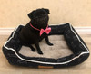 SUPER COZY Bed for Pets