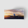 Face to Face with Boeing 737-800 During Sunset Designed Stickers