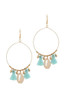 Cowrie Shell Tassel Drop Earring