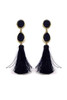 Stone tassel drop earring