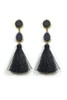 Stone tassel drop earring