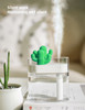 SOTHING 319 Clear Cactus Ultrasonic Air Humidifier 160ML Color Light USB Air Purifier Anion Mist Maker Water Atomizer