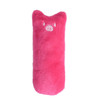 Cute Interactive Fancy Pets Teeth Grinding Catnip Toys Claws Thumb Bite Cat mint Pet Toys
