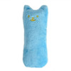 Cute Interactive Fancy Pets Teeth Grinding Catnip Toys Claws Thumb Bite Cat mint Pet Toys