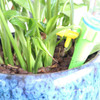 Automatic Sprayer Drip Irrigation Plant Waterer Self Watering Devices with Slow Release Control Valve Switch Automatic Vacation Self Plant Watering Spikes Glob