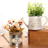 Mini VIntage Watering Cans