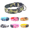 Army dog Collar