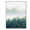 Landscape Forest Canvas