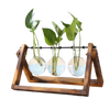 Glass terrarium table planter