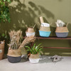 Nyuki - Wicker Rattan Baskets