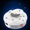 Electric Fly Trap Device