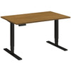 Adjustable Standing Business Desk