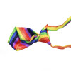 Rainbow Dog Tie
