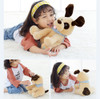 Cute Interactive Peek a Boo Dog - Plush Toy