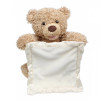 Peek a Boo Teddy Bear - Plush Toy