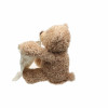 Peek a Boo Teddy Bear - Plush Toy