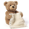 Peek a Boo Teddy Bear - Plush Toy