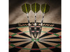 Viper The Freak Steel Tip Darts Knurled and Grooved Barrel 22 Grams