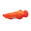 Plush Fish Cat Toy