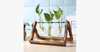 Glass Hydroponics Table Planter Stand