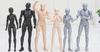 Official Body Kun and Body Chan Model Figures for Artists
