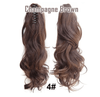Claw-Clip Ponytail Extension