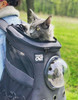 Cat Backpack for Larger Cats