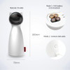 Cat Laser Toy