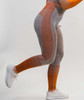 Hybrid Seamless Leggings | Quartz Rose