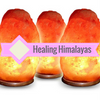 Himalayan Salt Lamps - 11-15 Pound Lamps