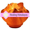 Himalayan Salt Bowl Lamps Himalayan Salt Bowl Lamps