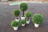 Home Decorative Bonsai artificial plants/fake flowers