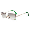 Small Rectangle Sunglasses
