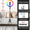 Orsda 10 inch RGB Ring Light tripod LED Ring Light Selfie Ring Light with Stand RGB 26 colors video light For Youtube Tik Tok