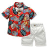 Tem Doger  Boys Clothes Shorts Sleeve Floral Shirt+Shorts 2PCS Outfits