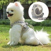 Cute Kiley  - Breathable Mesh Adjustable Dog Harness