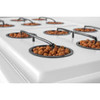 SuperPonics XL 12 Hydroponic Grow system