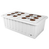 SuperPonics XL 12 Hydroponic Grow system