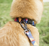 Fire & Ice Geometric Dog Collar