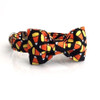 Candy Corn Cat & Dog Collar w/ Detachable Bow