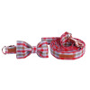 The Austin Pet Leash