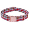 The Austin Pet Leash