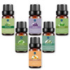 FastChargeStore™ Pure Essential Oils Set