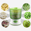 Electric Seed Germination Grower