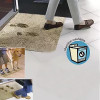 Instant Dirt-Absorbing Non-Slip Mat