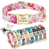 Personalized Dog Collar