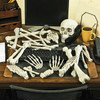 Halloween Skeleton Bones 28 pieces Halloween Prop Skeleton Skull Haunted House Horror prop Party Decorations Tricky Bones Skull