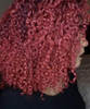 Glam Wax
