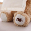 Peek-A-Boo Teddy Bear
